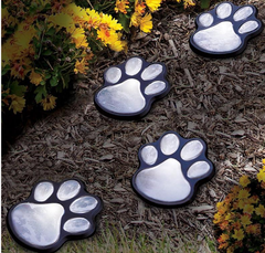 Solar Claw Garden Light