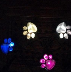 Solar Claw Garden Light